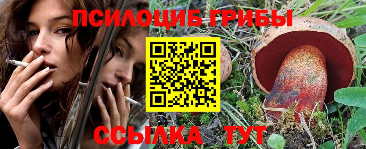 Галлюциногенные грибы Psilocybine cubensis Заинск