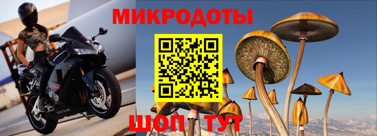 Галлюциногенные грибы Magic Shrooms  Вход с VPN  Заинск 